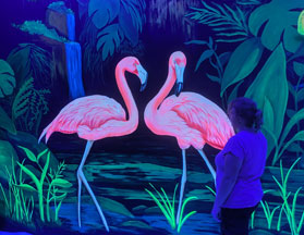 Schwarzlicht-Malerei, Motiv: Zwei Flamingos mit Künstlerin